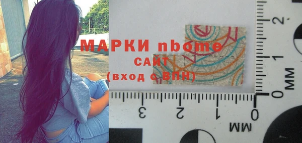 шишки Галич