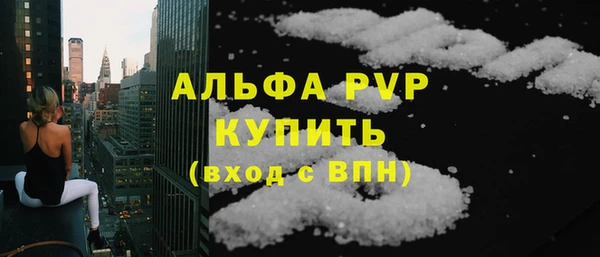 стаф Осташков