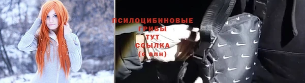 гидра Гатчина