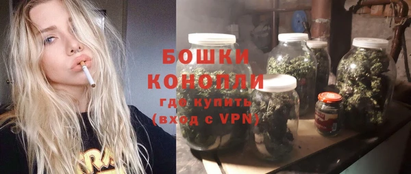 стаф Осташков