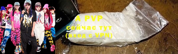 стаф Осташков