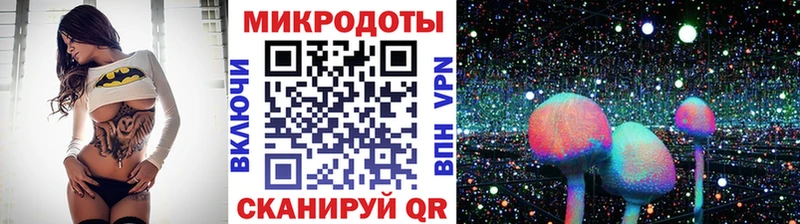 где найти   Собинка  Галлюциногенные грибы Psilocybine cubensis 